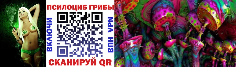 Псилоцибиновые грибы Psilocybe  цена наркотик  Вичуга 